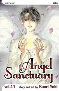 Book cover of Angel Sanctuary, Vol. 11
