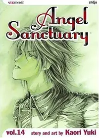 Book cover of Angel Sanctuary, Vol. 14