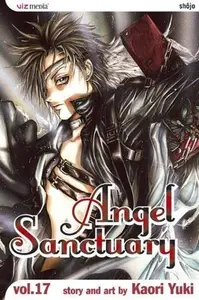 Book cover of Angel Sanctuary, Vol. 17