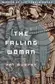 Book cover of The falling woman