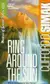 Book cover of Ring Around the Sun