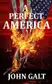 Book cover of A Perfect America