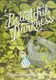 Book cover of Beautiful darkness