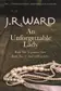 Book cover of An Unforgettable Lady