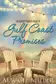 Book cover of Gulf Coast Promises