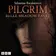 Book cover of Pilgrim: Belle Meadow Fayre