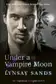 Book cover of Under a Vampire Moon