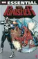 Book cover of Essential Punisher, Vol. 1