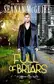 Book cover of Full of Briars: An October Daye Novelette