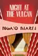 Book cover of Night at the Vulcan