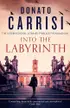 Book cover of Man of the Labyrinth