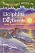 Book cover of Dolphins at Daybreak