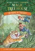 Book cover of Tigers at Twilight