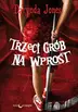 Book cover of Trzeci grob na wprost
