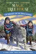 Book cover of Sunlight on the Snow Leopard