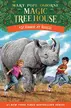 Book cover of Rhinos at Recess