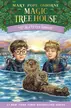 Book cover of Sea Otter Sunrise