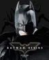 Book cover of Batman Begins Visual Guide