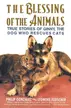 Book cover of The Blessing of the Animals True Stories of Ginny, the Dog Who Rescues Cats