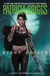 Book cover of Night Broken