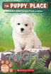 Book cover of Angel