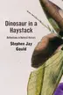 Book cover of Dinosaur in a Haystack