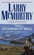 Book cover of The wandering hill