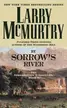 Book cover of By Sorrow's River