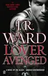 Book cover of Lover Avenged