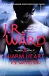 Book cover of A Warm Heart in Winter