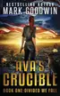 Book cover of Divided We Fall