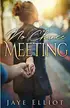 Book cover of No Chance Meeting
