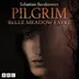 Book cover of Pilgrim: Belle Meadow Fayre