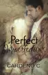 Book cover of Perfect Imperfections