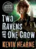 Book cover of Two Ravens and One Crow