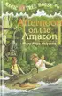 Book cover of Afternoon on the Amazon