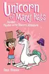 Book cover of Unicorn of Many Hats