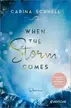 Book cover of When the Storm Comes