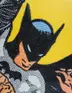 Book cover of Batman