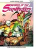 Book cover of Swords of the Swashbucklers