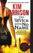 Book cover of The witch with no name