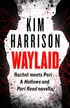Book cover of Waylaid