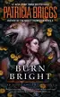Book cover of Burn bright