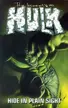 Book cover of The Incredible Hulk, Vol. 5: Hide in Plain Sight