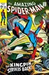 Book cover of Amazing Spider-Man (1963-1998) #84