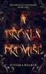 Book cover of A Broken Promise