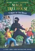 Book cover of Night of the Ninjas