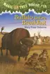 Book cover of Buffalo Before Breakfast