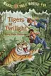 Book cover of Tigers at Twilight