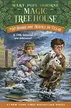 Book cover of Hurricane heroes in Texas